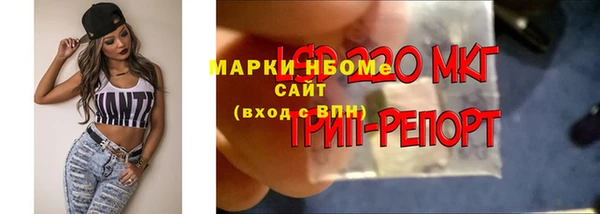 молекула духа Кукмор
