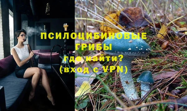 a pvp Горнозаводск