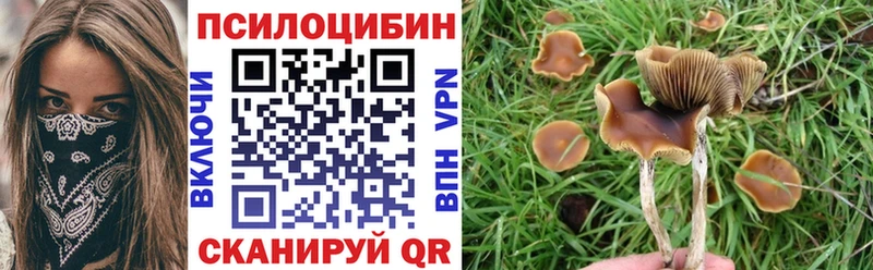 МЕГА ссылки  Николаевск  Галлюциногенные грибы прущие грибы 